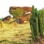 Redutos de vegetação Redutos de vegetação