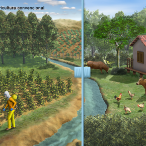 Recurso interativo compara agropecuária convencional com agrofloresta Recurso interativo compara agropecuária convencional com agrofloresta