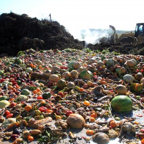 Guia visual sobre o desperdício de alimentos Guia visual sobre o desperdício de alimentos
