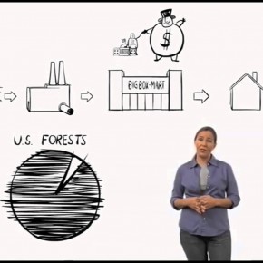 4 recursos visuais que ajudam a entender o que é meio ambiente 4 recursos visuais que ajudam a entender o que é meio ambiente